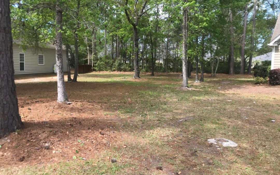 Cobblestone Village Lot