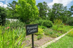 Ocean Ridge Plantation