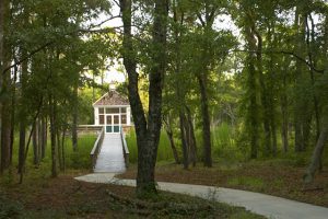 Seascape at Holden Plantation