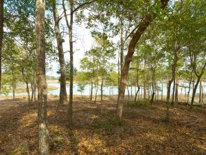 Tidewater at Ocean Isle